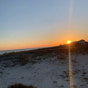 Meet your Posher, Molly